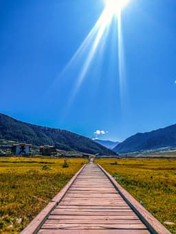 Haa Dzongkhag District Landscape – Green Valley and Rice Fields in Bhutan